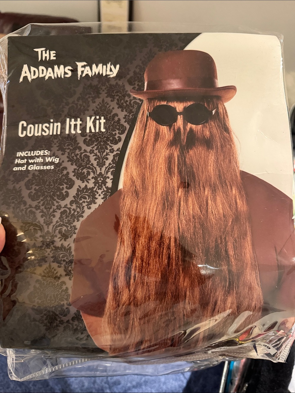 Cousin Itt Costume Kit - Brown Wig & Hat
